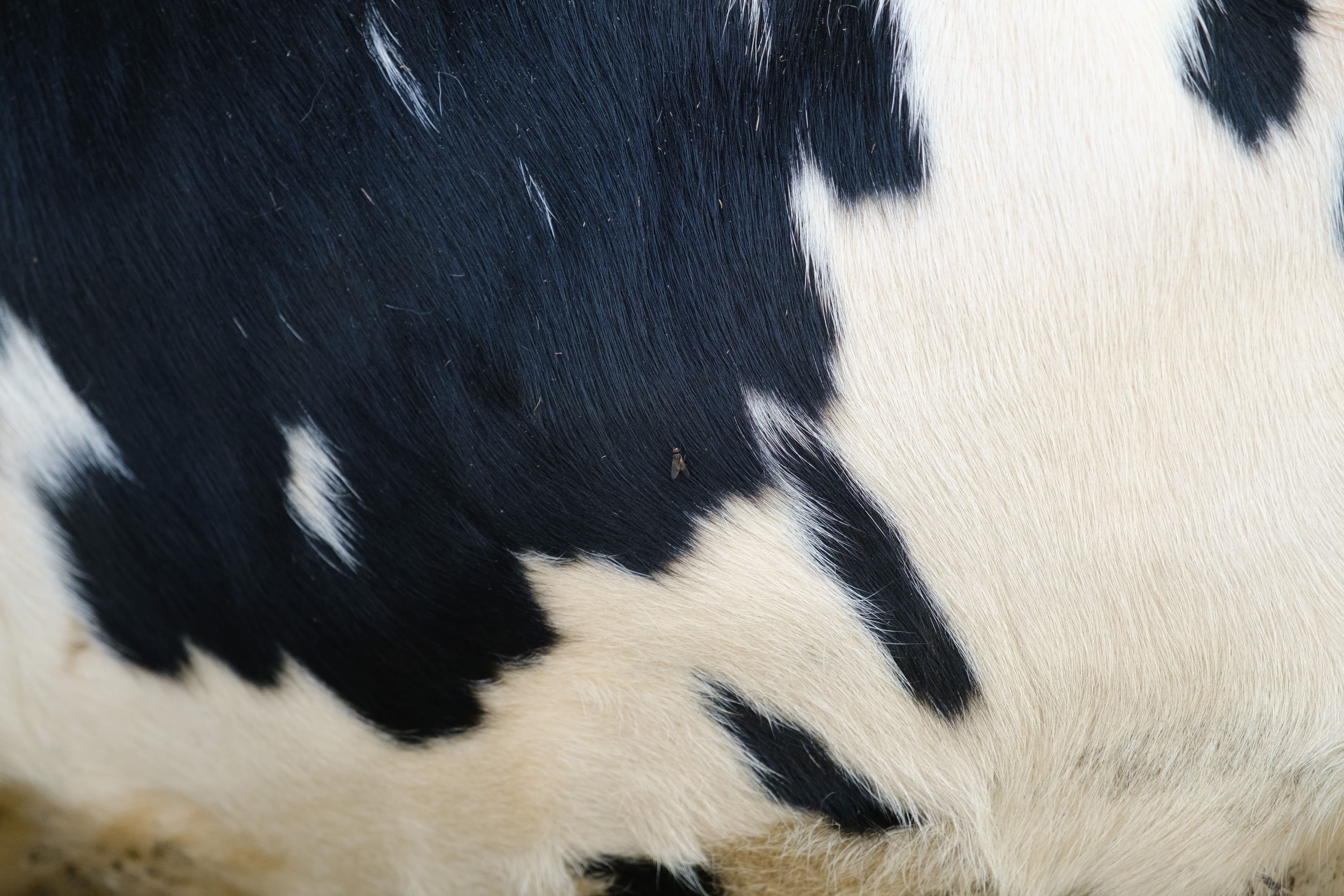 azienda-agricola-riva-de-bares