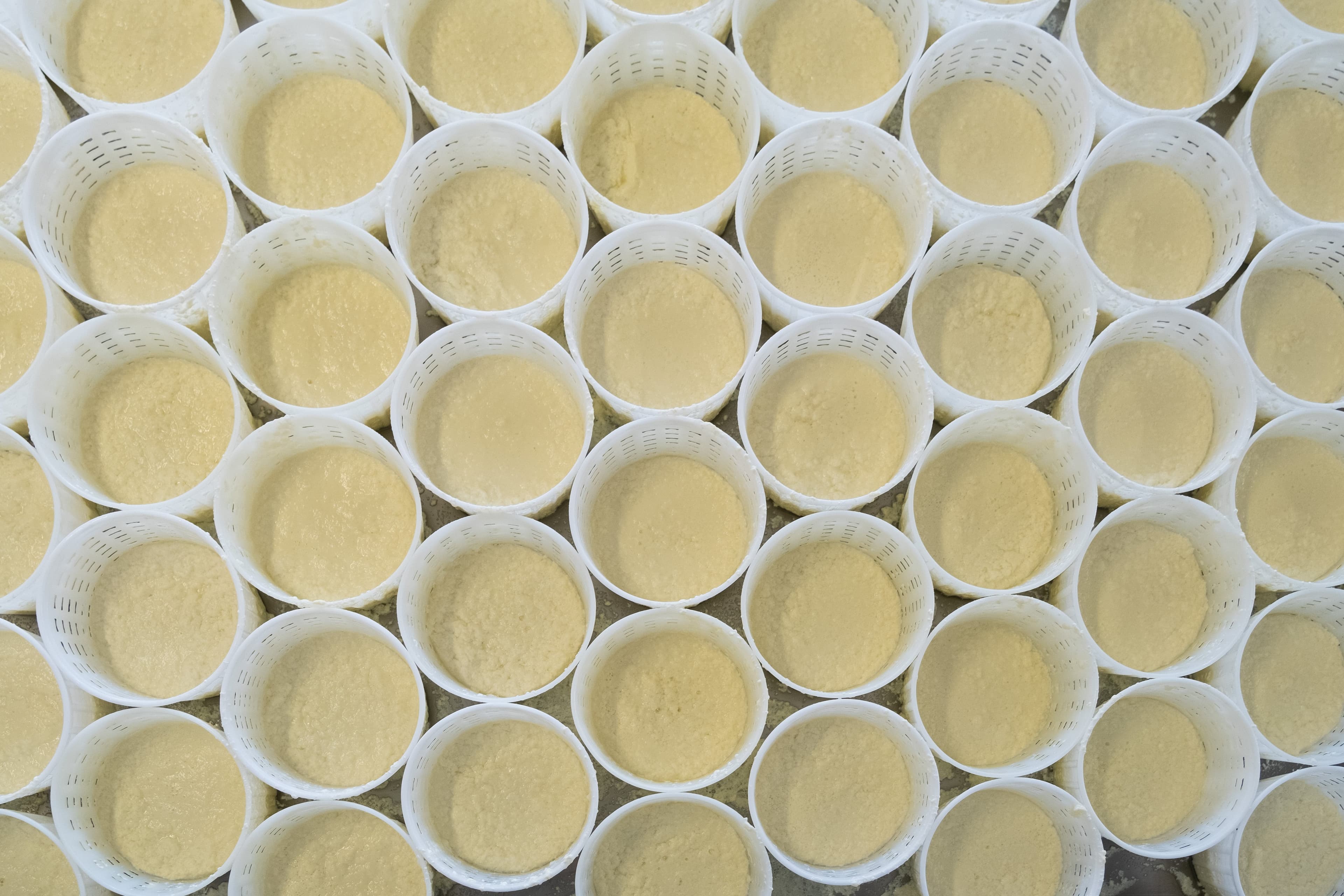 latteria-sociale-di-marsure