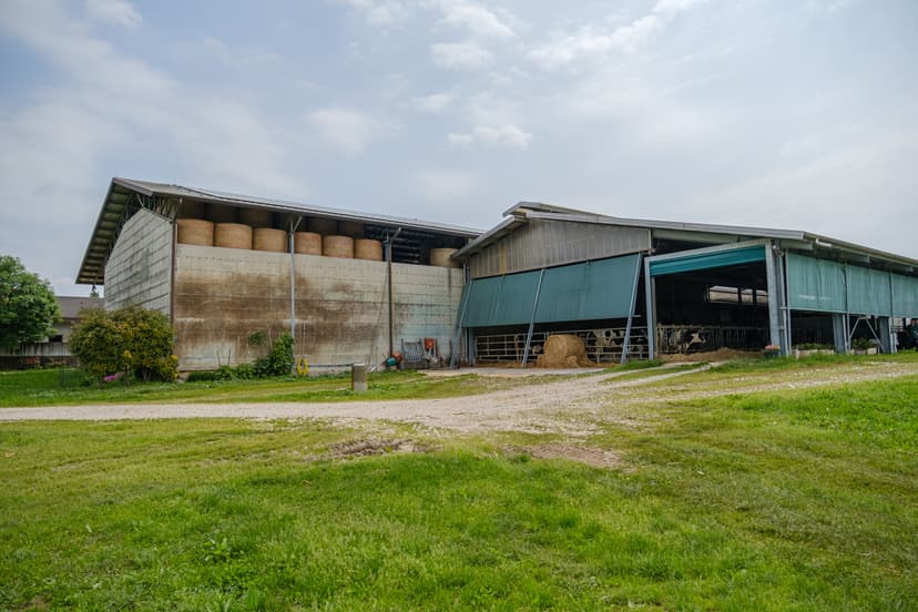 L’Azienda Ossena Fabio